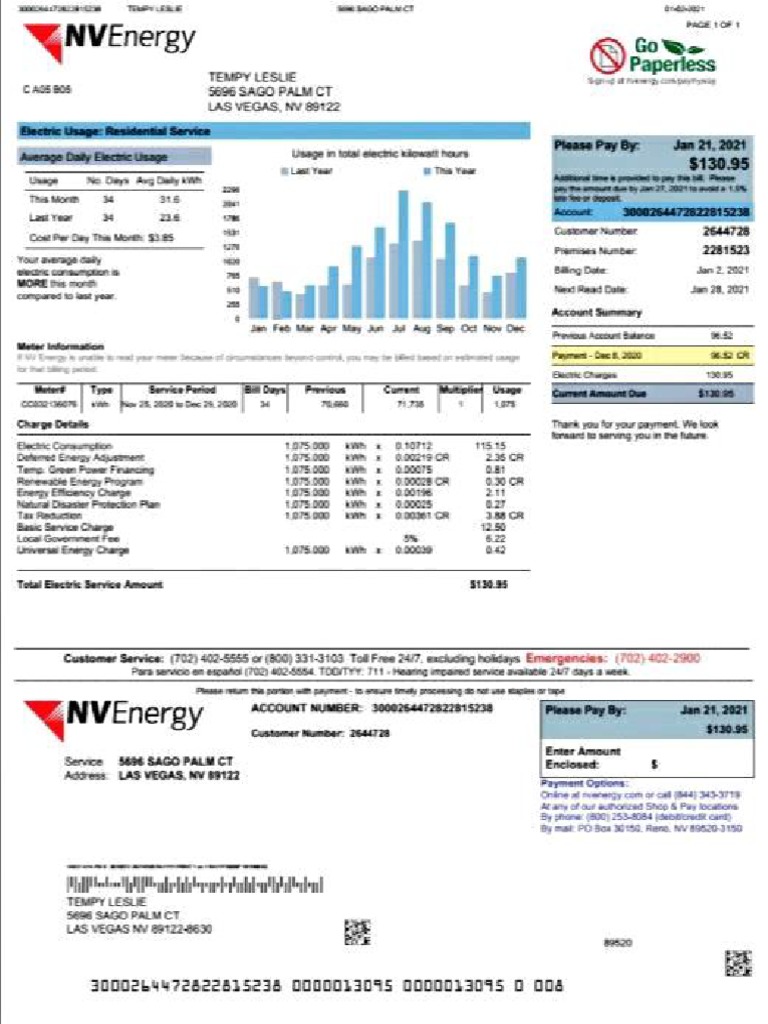 NV Energy Bill PDF