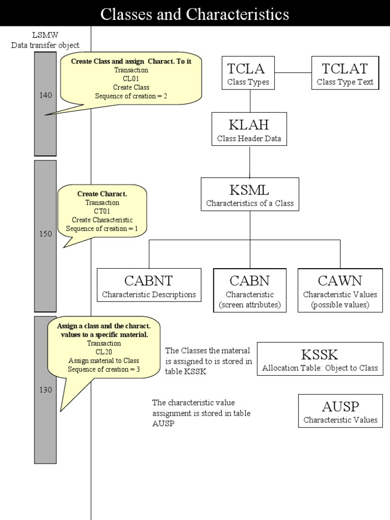 SAP Class and Characteristic Management | PDF