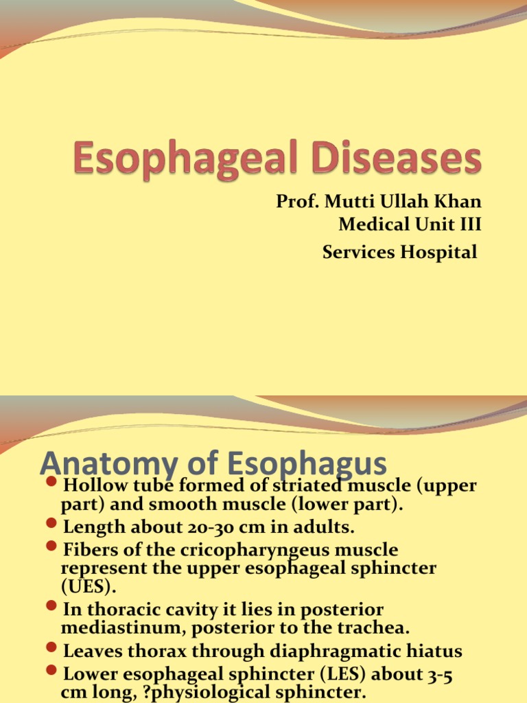 Esophageal Diseases | PDF | Gastroesophageal Reflux Disease | Esophagus
