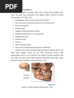 Download FRAKTUR MANDIBULA by Indah Edilla SN50645959 doc pdf