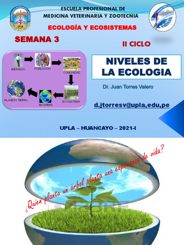 Niveles de la Ecología y Ecosistemas | PDF | Ecosistema | Ecología