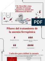 Describir Cómo Abordar El Manejo Integral de La Anemia Por Deficiencia de Hierro