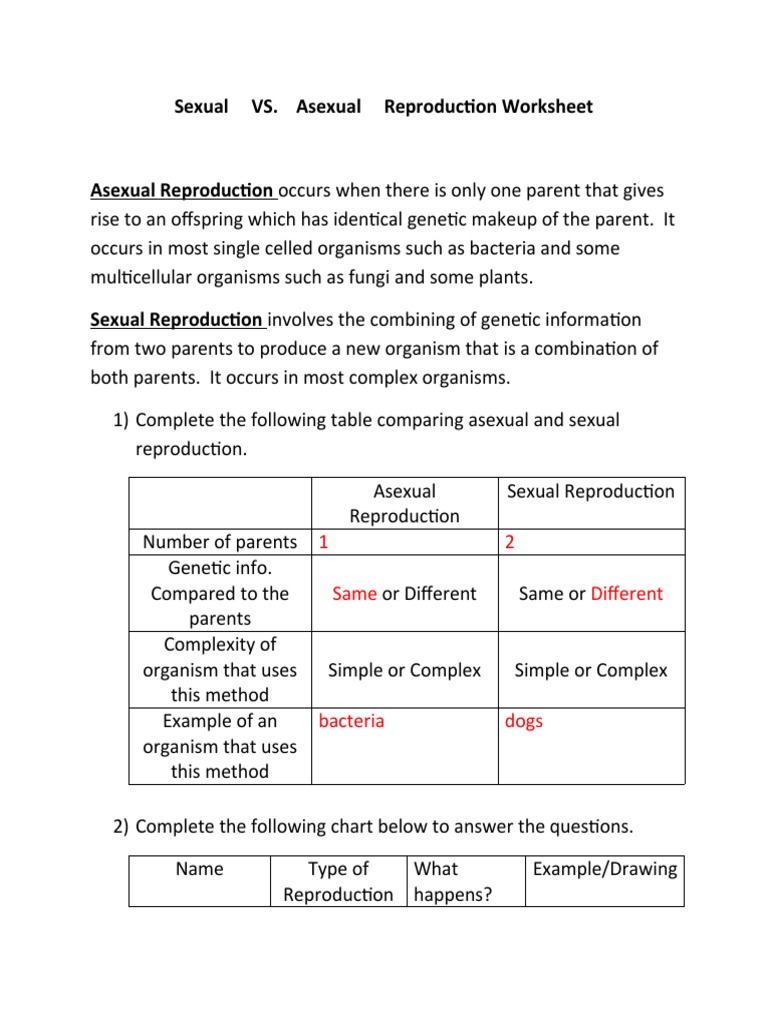 Sexual Vs Asexual Reproduction Worksheet-1 | PDF | Sexual Reproduction |  Fertilisation