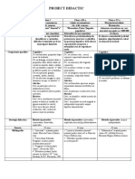 171 Proiect de Lectie