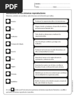 Actividad Sistema Reproductor