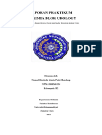 LAPORAN PRAKTIKUM BIOKIMIA BLOK UROLOGY Elisabeth A.P Harahap 1808260124 B2