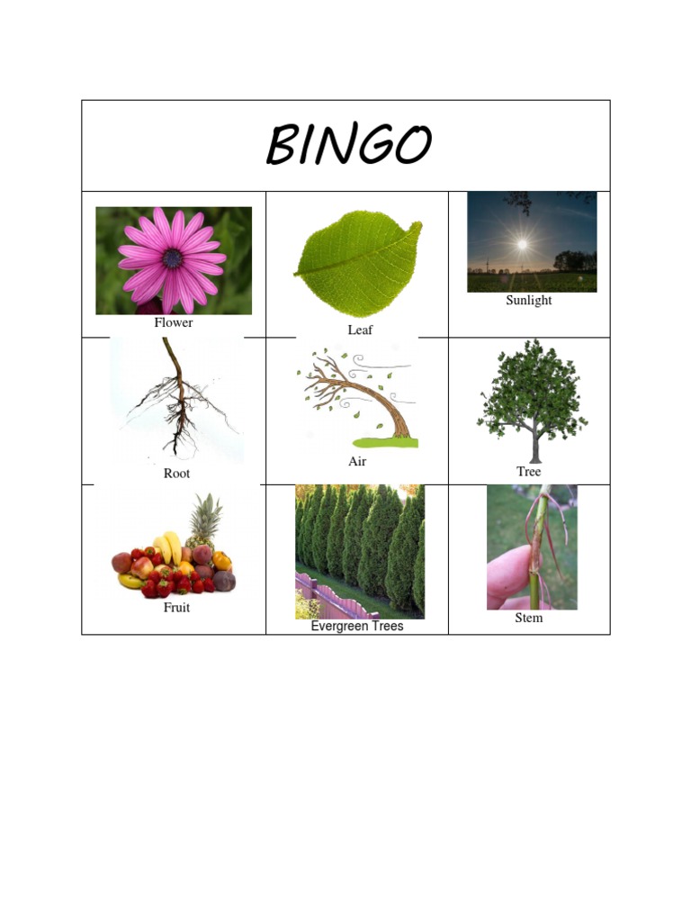 BINGO Plants Cards | PDF | Trees | Shrub