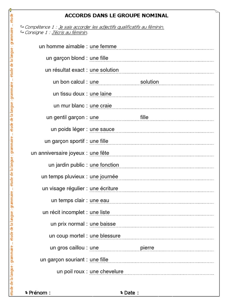 Accord Dans Le Groupe Nominal Cm1 03 Groupe Nominal Accords | PDF | Cheveux