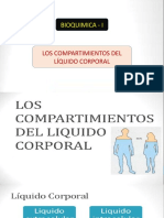 Los Comparimientos Del Líquido Corporal