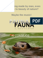 40 Consejos - Fauna