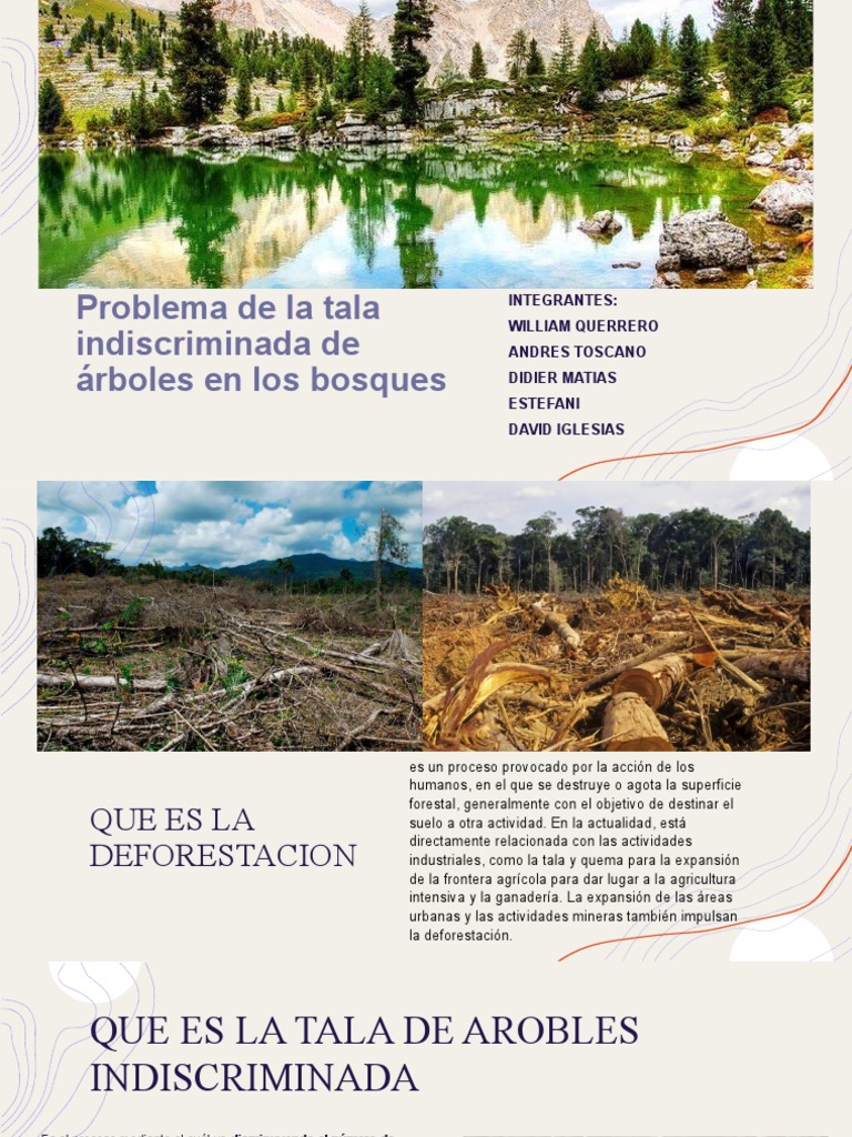 Problema de La Tala Indiscriminada de Árboles | PDF | Deforestación ...