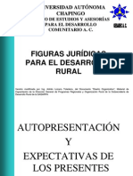 Figuras Juridicas