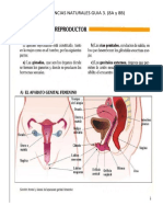 R.P.I Ciencias Naturales Semana 11 Octavos