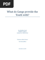 What Do Gangs Provide The Youth With