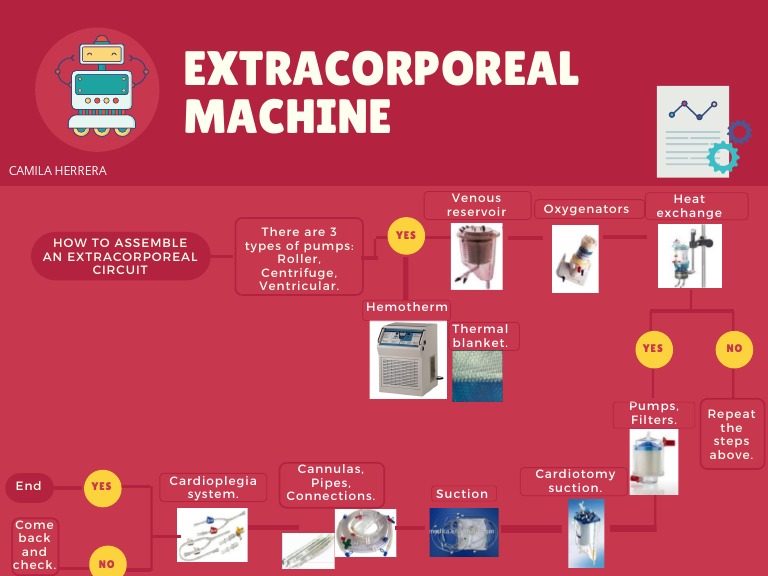 Guide to Assembling Extracorporeal Circuit | PDF