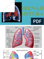 Drenaje Postural