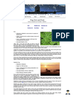 Airline Pilots Forum & Resource Guide for Fog, Dew and Frost