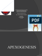 Apexo Genesis 