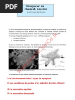 Download COUR ET BILAN PPSE ET PPSI SOMMATION TEMPORELLE ET SPATIAL by CourSCience SN50664163 doc pdf