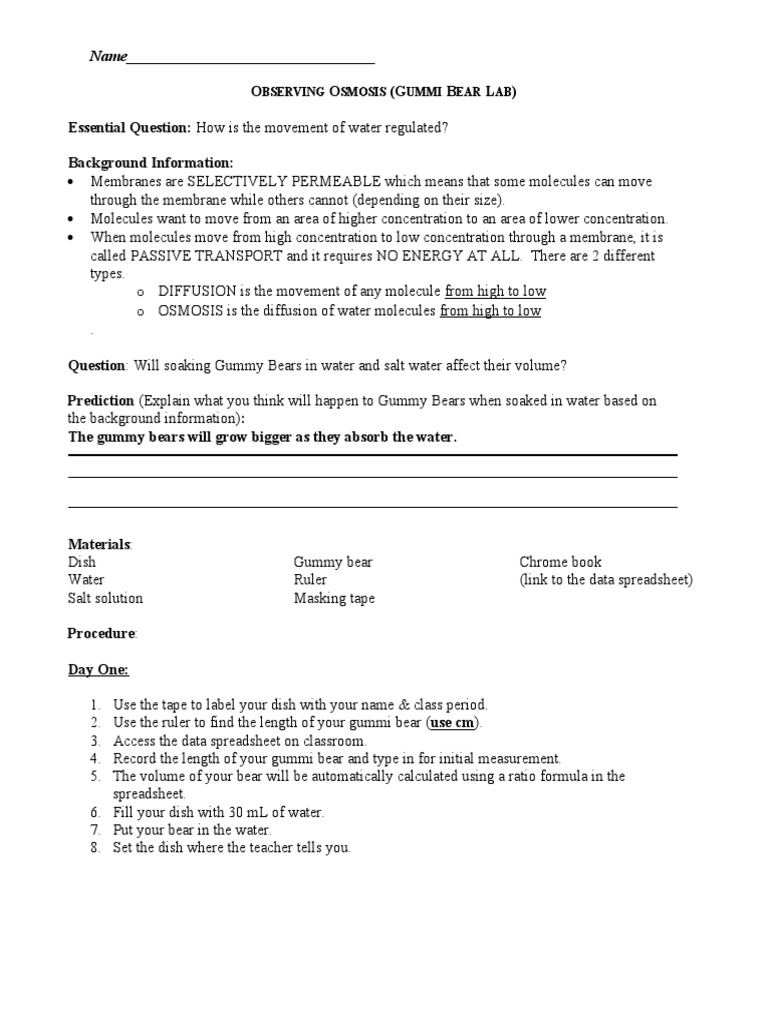 ANSWERS To Lab Observing Osmosis Gummie Bear PDF Osmosis
