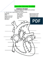 Cardiovascular Review Booklet