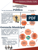 Gerencia Pública y Gerencia Municipal