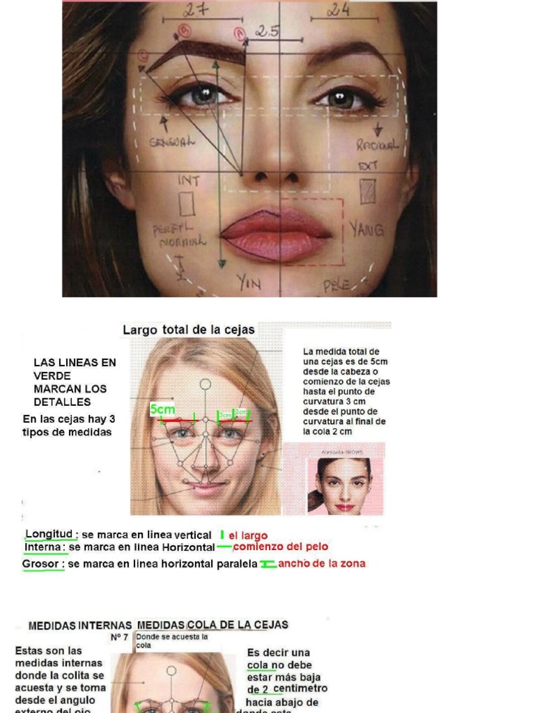 Rostro Medidas | PDF