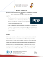 Informe 2