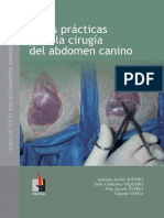 Bases Practicas para La Cirugia Del Abdomen Canino