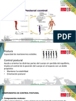 Control Postural y Teorias