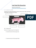 Virtual Fetal Pig Dissection