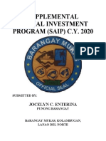 Supplemental Annual Investment Plan