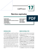 Anatomia Humana Garcia Porrero (Nervios Espinales)