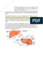 Patología Hígado