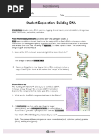 Student Exploration: Building DNA | PDF | Dna Replication | Dna