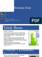 Potensi Perikanan Teluk Bone