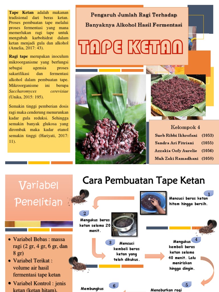 Brosur Bioteknologi Tape Ketan PDF