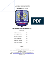 Laporan Praktikum Uji Makanan 