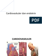 Cardiovaskuler dan endokrin