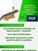 Amfibienii Și Reptilele Din Rezervația Biosfera Delta Dunării
