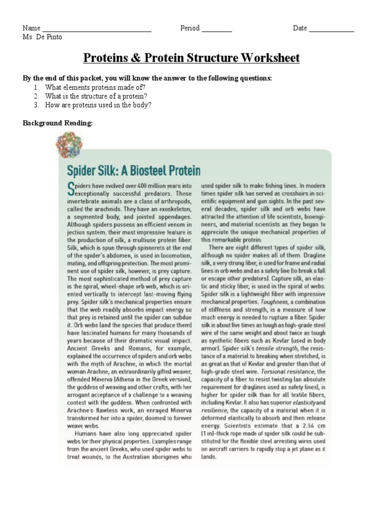 Protein Structure and Functions Worksheet | PDF | Proteins | Amino Acid