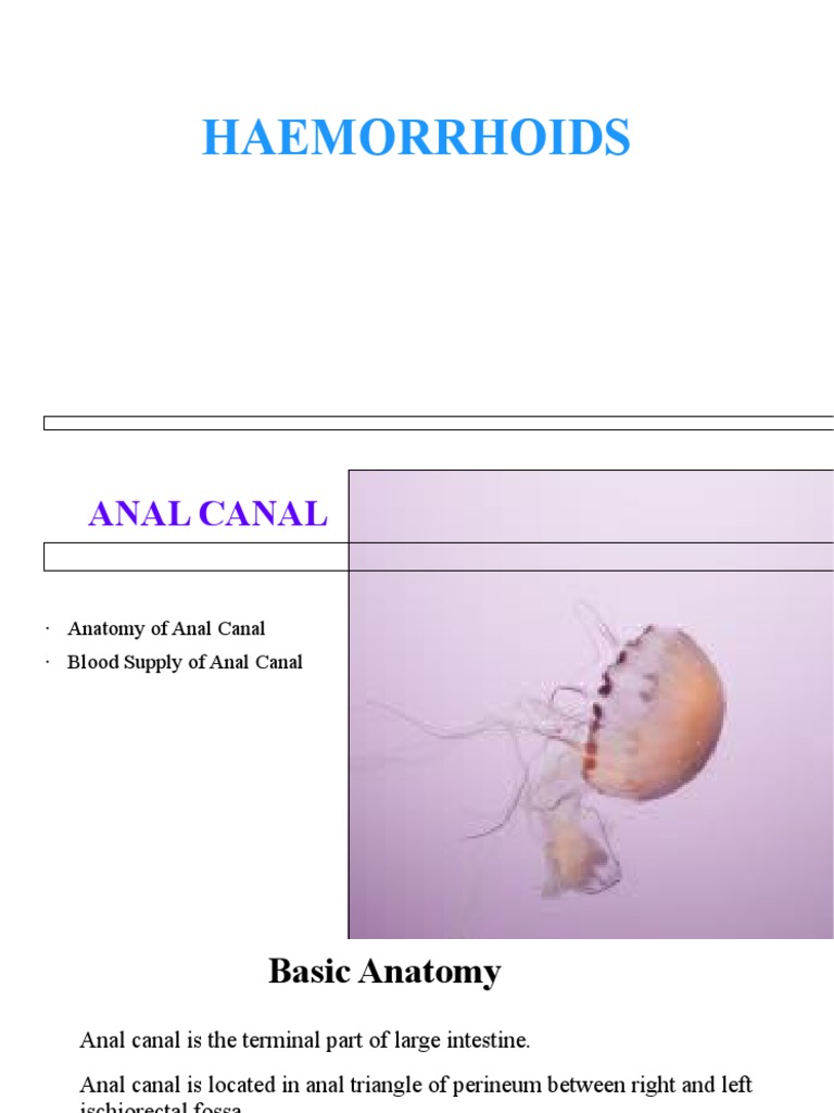 Hemorrhoids Presentation PDF Hemorrhoid Rectum