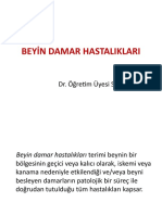 Beyin Damar Hastalıkları