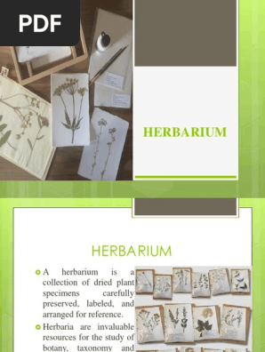 HERBARIUM