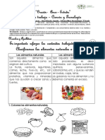 FICHA - CIENCIA - Alimentos Naturales o Artificiales 24-03-2021