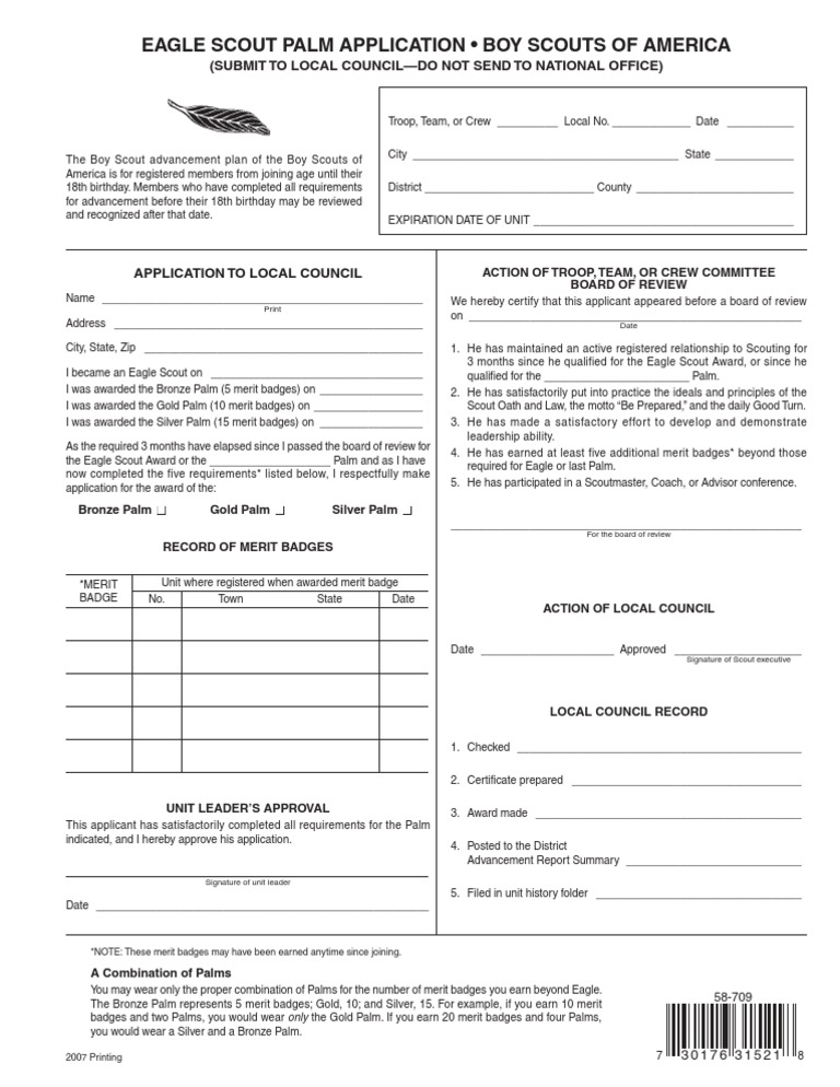 Eagle Palm Application 58709 PDF Girl Guiding And Girl Scouting