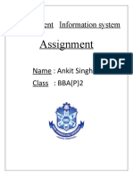 MIS Assignment - Ankit Singh BBAP2