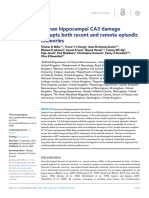 Human Hippocampal CA3 Damage