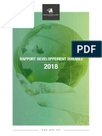 Rapport DD GBP_2018