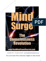 Mindsurge The Consciousness Revolution